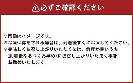 ボイルたこ 約500g～600g（1匹 頭付き） タコ 蛸 瀬戸内ダコ