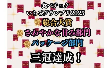 いちご 特大粒 新鮮 9粒入り いちご