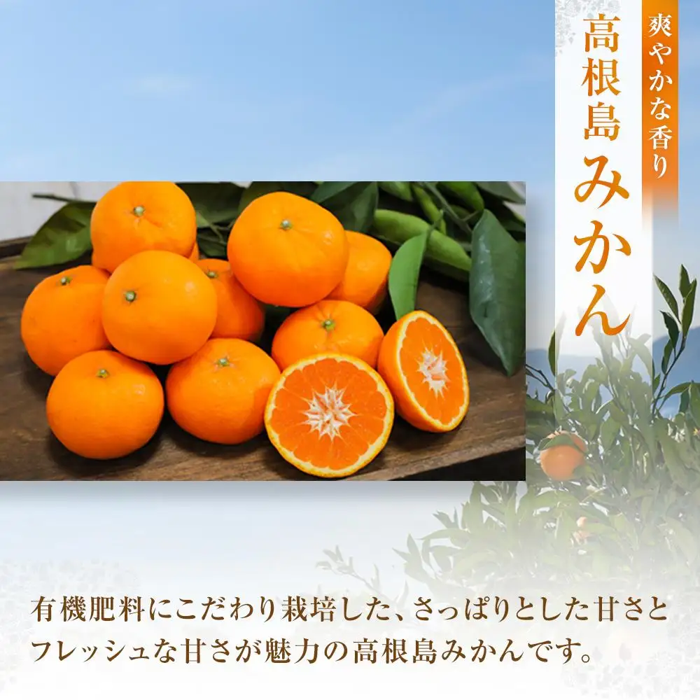 【先行予約】こだわり栽培　高根島みかん 3kg ＜2026年11月下旬より発送開始＞