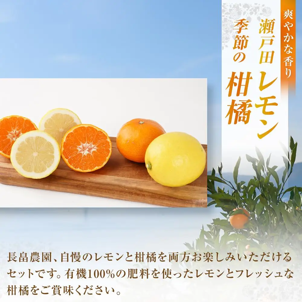 【先行予約】瀬戸田レモン3kg 季節の柑橘2kg ＜2026年11月下旬より発送開始＞
