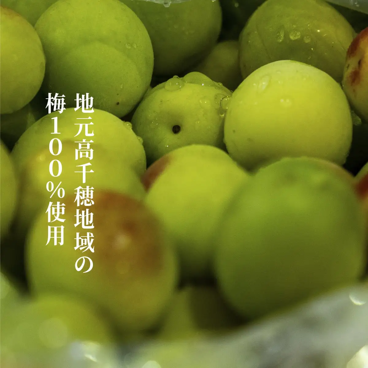 熟成梅酒＆日向夏みかん酒セット 本格 お酒 飲み比べ 味比べ お酒セット 詰め合わせ お酒詰め合わせ 瓶 贈答 贈り物 ギフト プレゼント 晩酌 宅飲み 家飲み 飲み会 国産 宮崎県 高千穂町 _Tk023-021