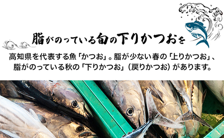 【かつおのたたき】高知県 かつおのたたき 計600～800g 鰹【md001】 [1234]