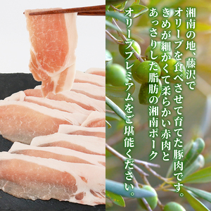 豚肉 ローススライス 2P 挽肉 2P セット冷凍 藤沢産 湘南ポーク オリーブプレミアム ポーク ぶた buta 簡単調理 豚 焼肉 赤肉 しゃぶしゃぶ 鍋 お鍋 小分け 個包装 国産 ギフト 肉 スライス お取り寄せ グルメ 有限会社藤沢市種豚センター 神奈川 藤沢市 藤沢