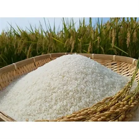 【五戸町特産セット】令和7年産　精米まっしぐら10kgと長芋3kgのセット【配送不可地域：離島・沖縄県】【1017944】