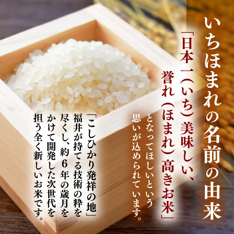  【令和7年産】いちほまれ 精米 10kg 《ギフトにもおすすめ！化粧箱入り》／ 福井県産 ブランド米 白米 贈り物 お取り寄せ [aw003-c001]