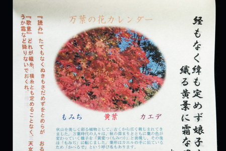 万葉の花カレンダー（細川紙） 新年度 令和8年版
