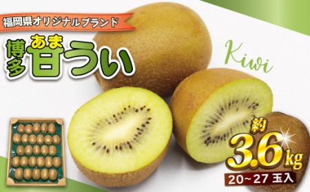 2026年11～12月出荷】福岡県ブランドキウイフルーツ「博多甘うぃ」約