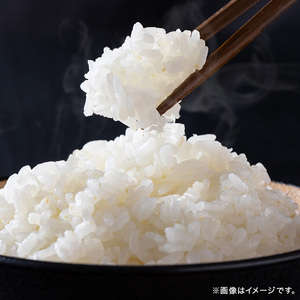 米 【定期便2ヶ月】令和5年 広島県安芸高田市産 こしひかり 10kg（5kg×2袋） お米 コシヒカリ 2ヶ月連続 2回 計20kg 