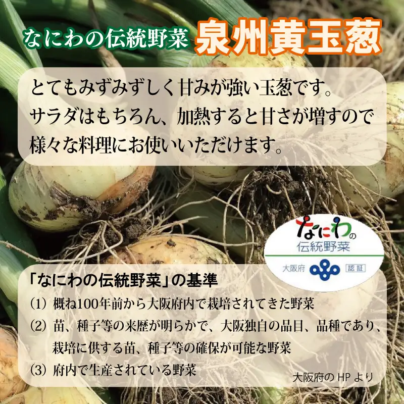 【先行予約】 数量限定 幻のたまねぎ 泉州黄玉ねぎ 10kg