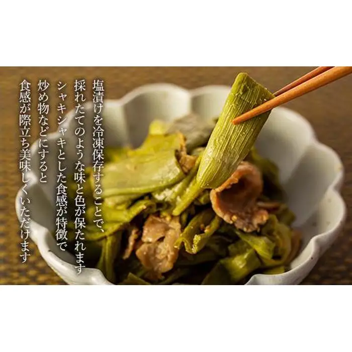 【産地直送】高知県産冷凍イタドリの詰め合わせセット【塩漬け】【野菜 虎杖  人気 高知県 南国市】