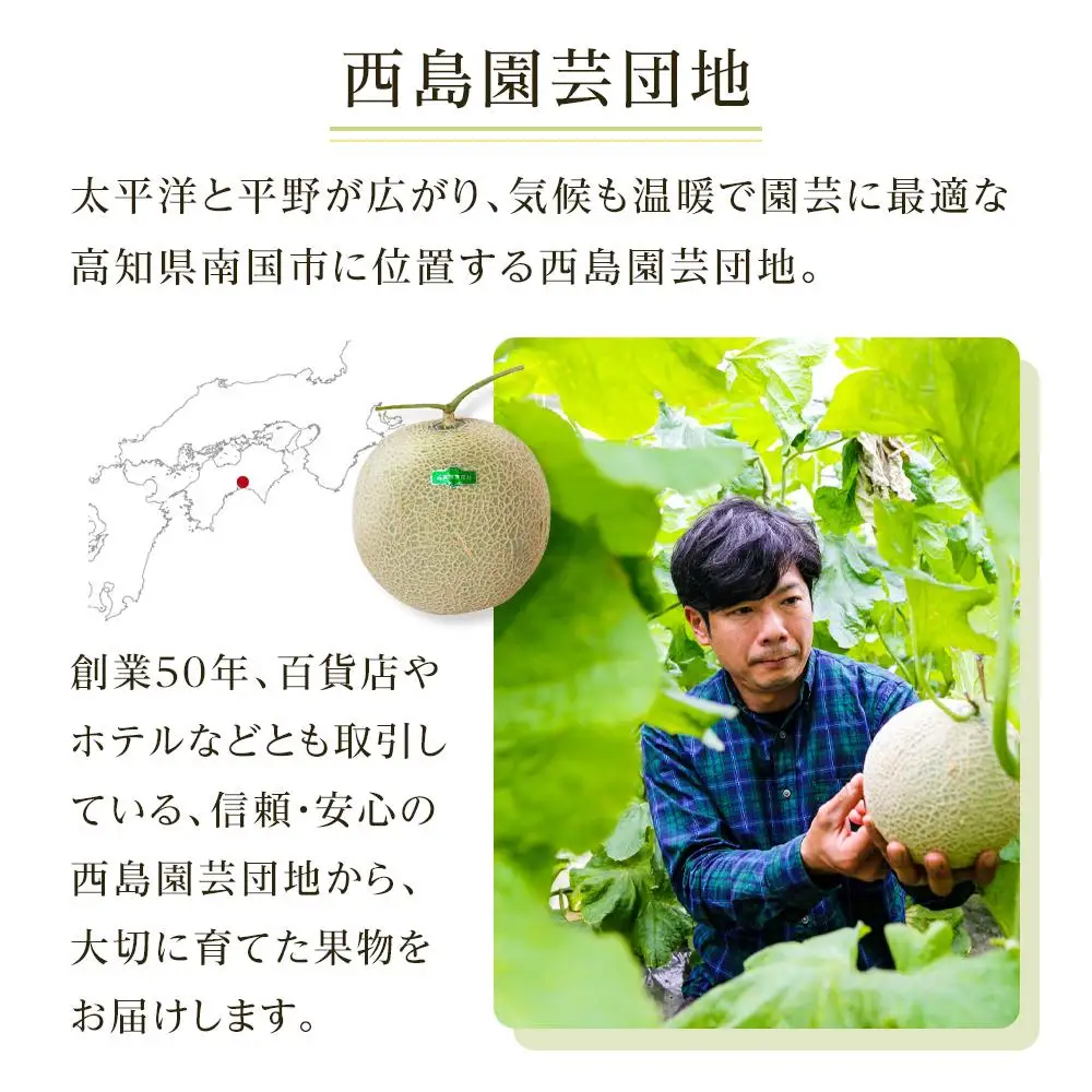 【先行予約】南国メロン マンゴー セット＼メロン フルーツ ／