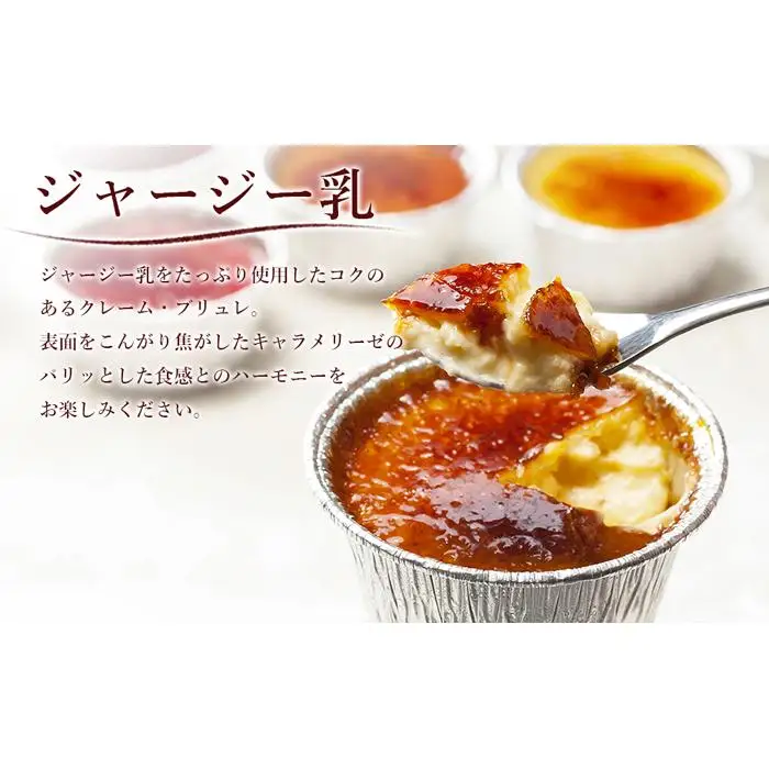 アイスブリュレ2種 Aセット　＼ ジャージー乳・濃厚キャラメル クレームブリュレ詰め合わせ ／ プレゼント ギフト お菓子 スイーツプリン 人気 おすすめ 高知県 南国市