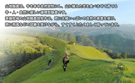 【ドルチェかがみ】山地酪農牛乳ジェラート（110ml×6個) ＼ ジェラート ／