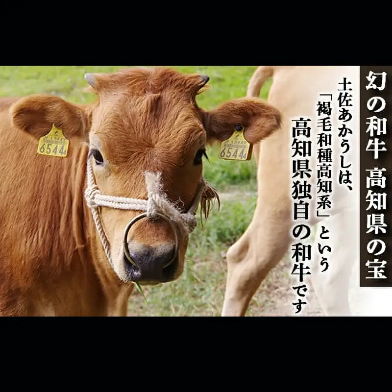 土佐あかうし 和牛ブリスケ／しゃぶしゃぶ用 500g | あか牛 赤身 旨味 希少 幻 贈り物 ギフト 高知県 南国市