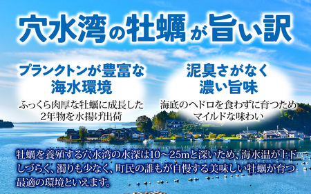 面倒な殻剥きなし！すぐに調理できます 能登穴水の牡蠣（ムキ身）加熱用 800g | 奥能登 能登半島 牡蠣