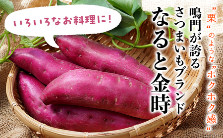 【予約受付中・2026年9月下旬頃より順次発送】さつまいも なると金時 3kg 