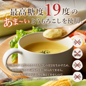きみひめのコーンポタージュ　160ｇ　10袋セット