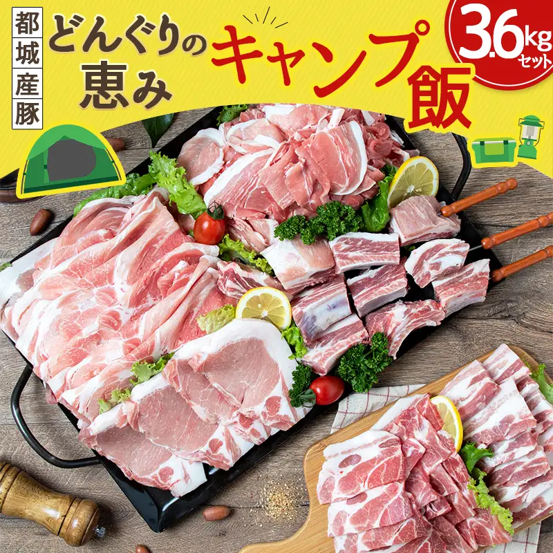 「どんぐりの恵み豚」キャンプ飯3.6kgセット〔17-1104〕_(都城市) 都城産豚 どんぐりの恵み ロースステーキ バラワイルド焼肉 肩ロース焼肉 モモ焼きそば用 ウデ大判スライス スペアリブ焼肉 真空包装 3.6キロ 200g 300g BBQ キャンプ
