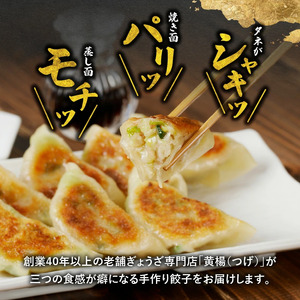 【ぎょうざの店 黄楊】手作り 餃子 専門店 60個 ラード たれ付き N0099-YA4419
