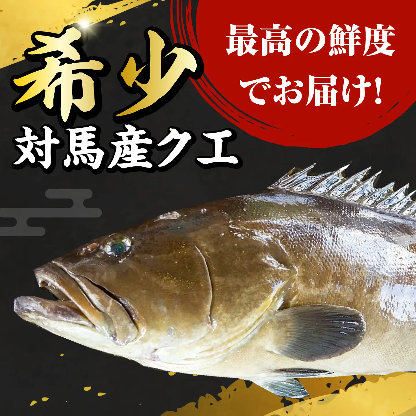 【2026年10月より順次発送】対馬産 幻の高級魚 クエ 2kg [WAA003] くえ  