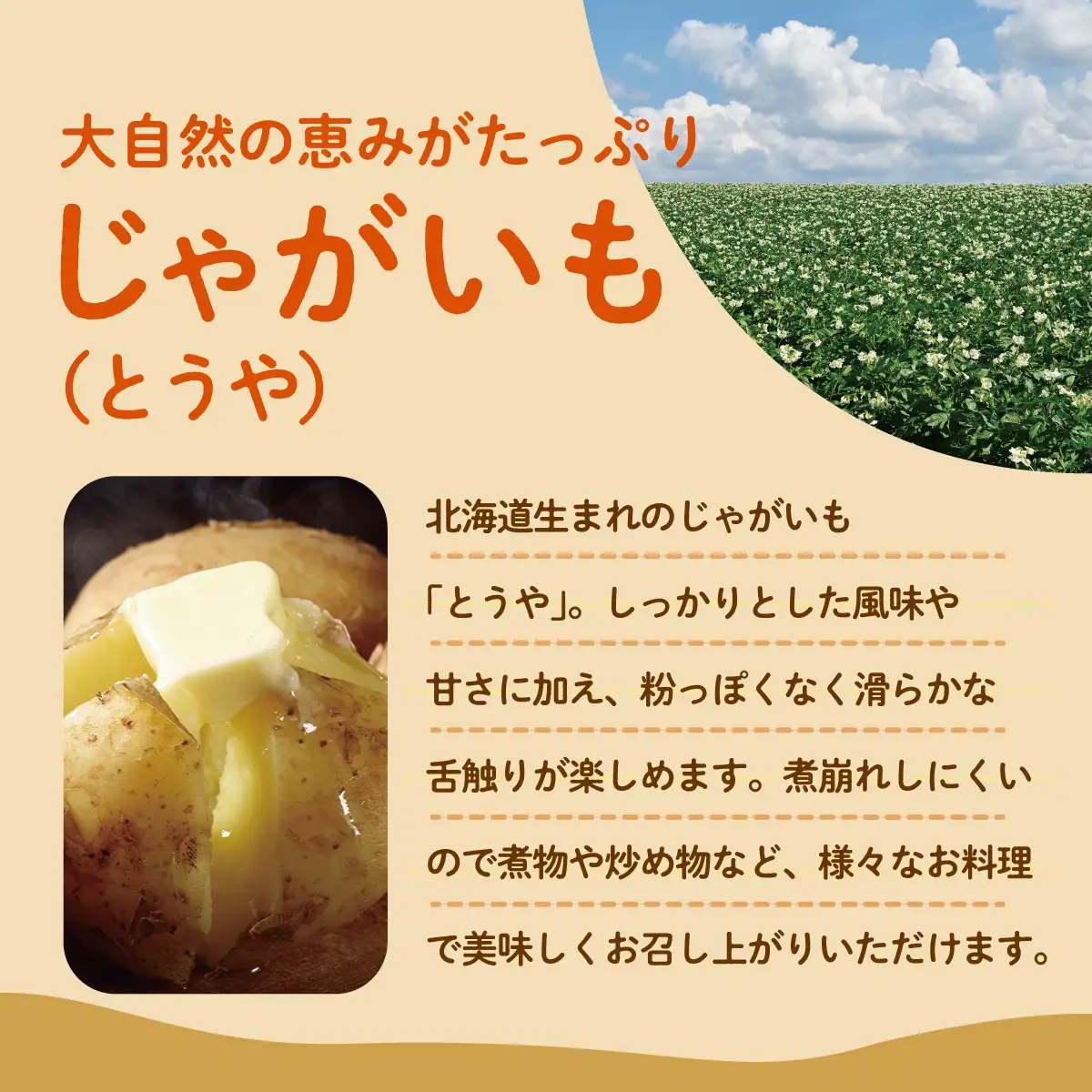 ＜2026年9月下旬よりお届け＞北海道壮瞥町産じゃがいも（とうや）Lサイズ10kg SBTN005