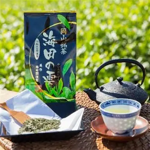 海田の雫3本セット_飲料・ドリンク 茶葉・ティーバッグ 茶 _【1128636】