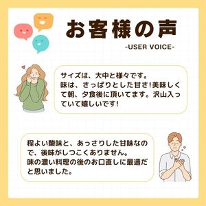 【先行予約】 訳あり はるか 5kg なくなり次第終了 柑橘 かんきつ 期間限定 みかん 蜜柑 冬 糖度 みかん職人武田屋