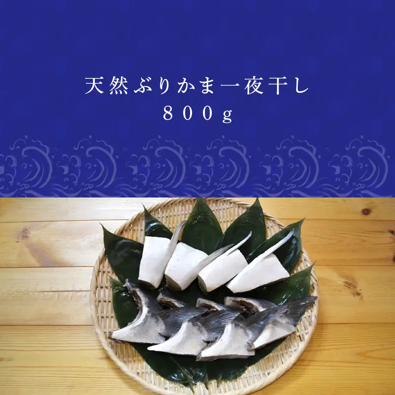 天然ぶりかま一夜干し ハーフ2食×4袋(合計800g)