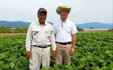 大鉄砲豆冨詰合せ（全5種類） 豆腐 とうふ 