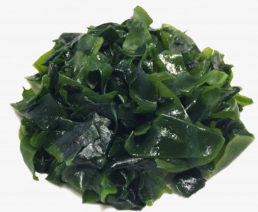 紀州名産　塩わかめ　約1kg（約200g×5）【hsc103】