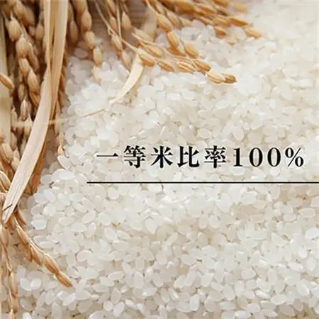 高津川の恵み 特別栽培米ヘルシー元氣米5kg×2袋(10kg)(令和7年産)【1209635】