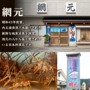 【B47001】≪数量限定≫ 冷凍イセエビぶつ切り(約900g・加熱用) 鹿児島 国産 九州産 いせ海老 伊勢海老 海老 えび エビ 魚介 冷凍 小分け 真空パック 味噌汁 バーベキュー ギフト 贈答【網元】