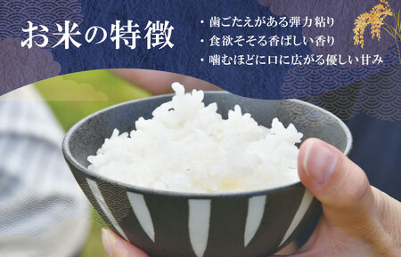 「三重県産斎王米」3㎏ 令和8年産 オリジナルブランド米 米 下村農園【SN1】