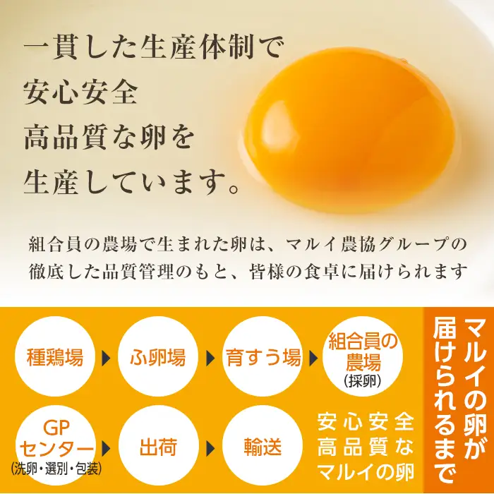i020 鹿児島県産 赤たまご マルイの輪 卵 36個 (6個入り×6パック)【マルイ食品】