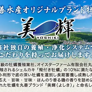 【先行予約／2026年12月より順次発送】I-55生食用浦村牡蠣１５個入りセット