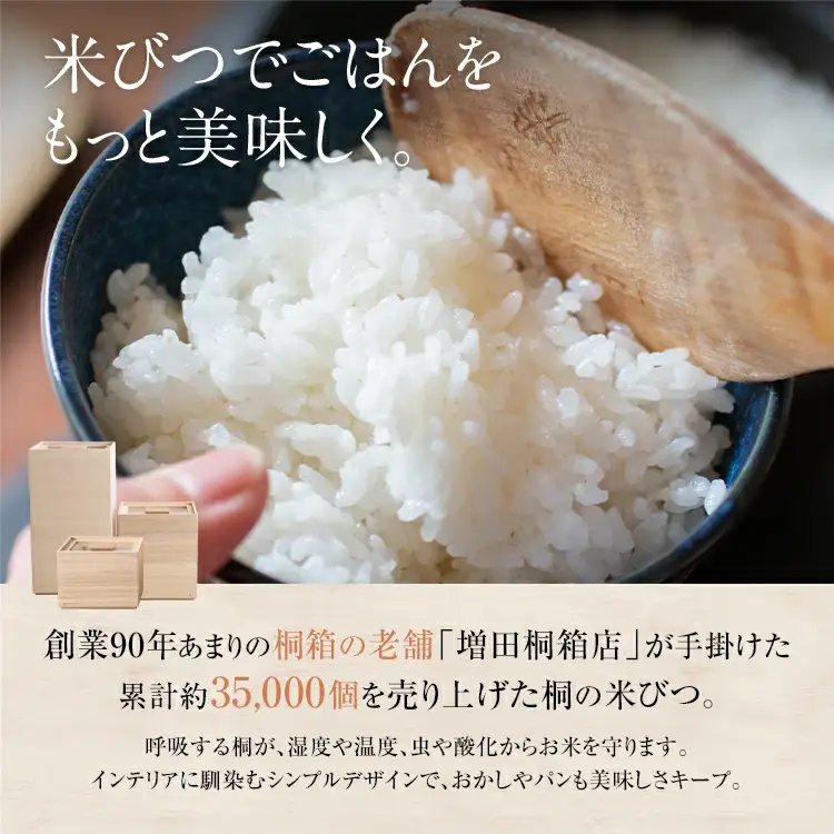 【ふるなびWEEK対象】米びつ ５kg タイプ 米びつ