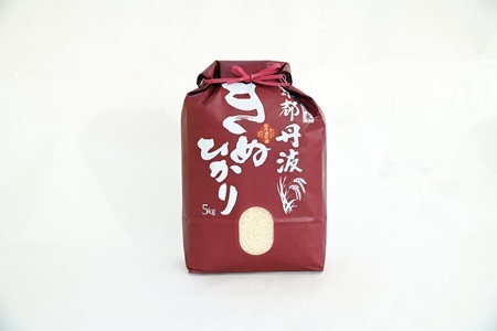 【6回定期便】 京丹波きぬひかり 5kg×6カ月連続 合計30kg 令和8年産  [060MB004R]