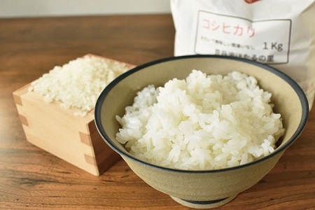 【京丹波のお米】ほたるの里のこしひかり 1kg×5袋（総量5kg）  [010HS004L]