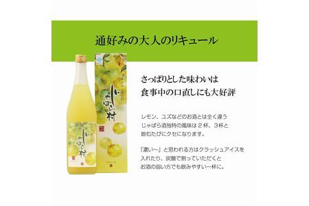 じゃばらのお酒 じゃばら村 720ml×2本（芳醇タイプ） 【njb441】