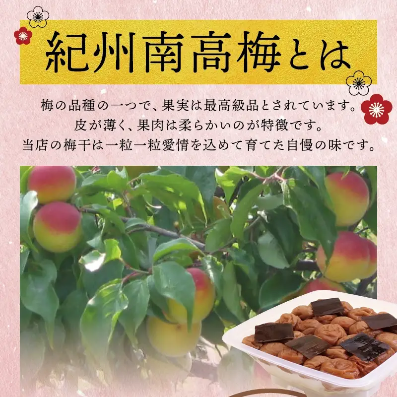 【贈答用】こんぶ風味梅干し 1kg【化粧箱タイプ】【inm401C】