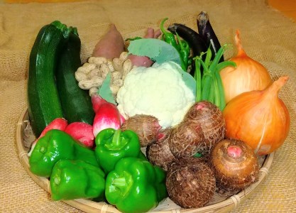 旬のお野菜詰め合わせセット
