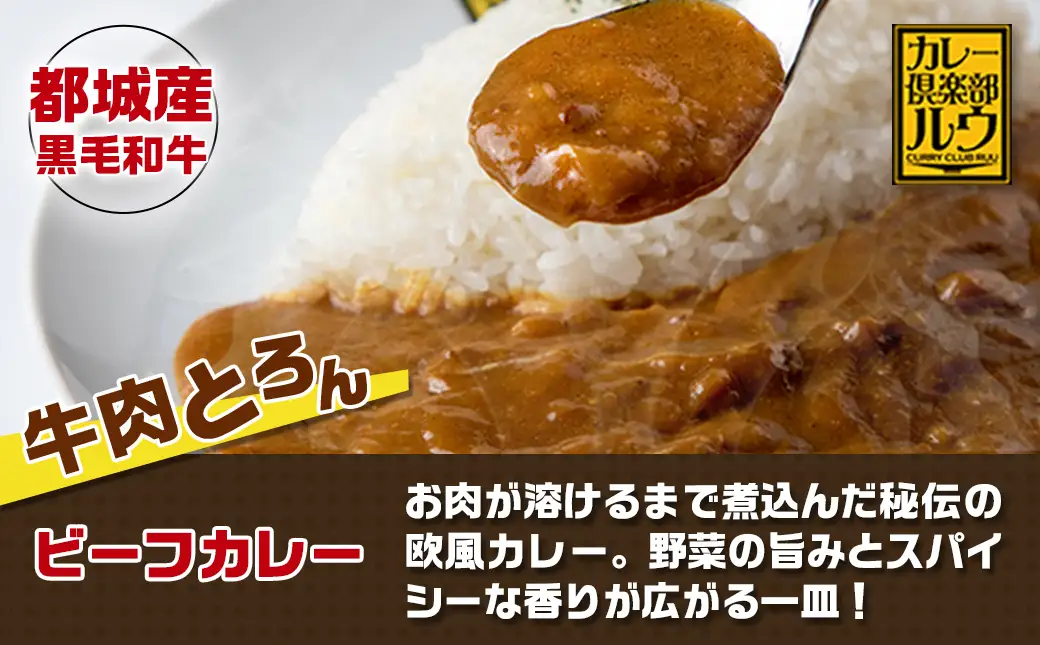 ルウ王子厳選カレーセット プロが選ぶカレーをも～っと楽しめるトッピング4種付〔MJ-2707〕_（都城市） ビーフカレー 10食分 チキン南蛮/豚バーグ/メンチカツ/チーズフランク 観音池ポーク キャンプ/BBQ おかず 