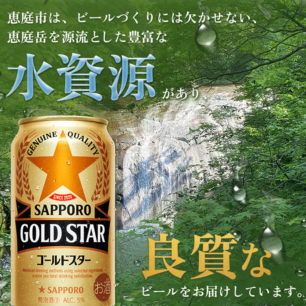 『定期便：全6回』 GOLDSTAR350ml×24本 ゴールドスター【300100251906】