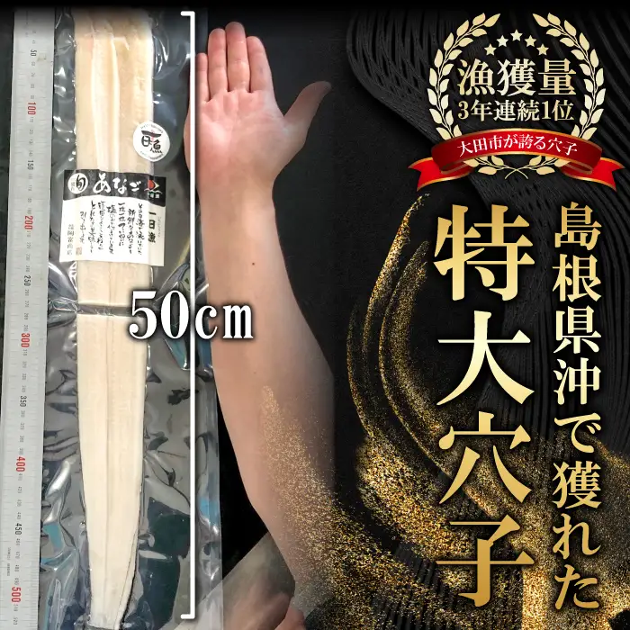 特大 あなご一夜干し 1尾 250g 「天女の羽衣」【穴子 一夜干し 250g 穴子干物 魚介類 魚 アナゴ 干物 特大 50cm 無添加 天日塩 新鮮 冷凍 真空パック 贈答 ギフト 父の日 母の日】