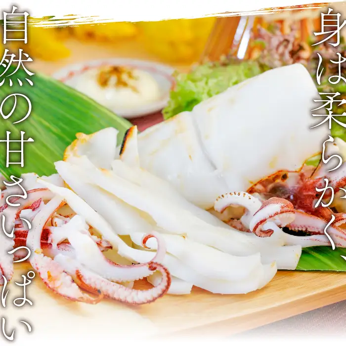 「釣りものケンサキイカに厳選」白いか一夜干（3枚入）【いか一夜干し 白いか 干物 60～80g 3枚 一夜干し 一夜干 イカ いか ケンサキイカ 贅沢 おつまみ お酒の肴 贈答 ギフト 冷凍 父の日 母の日】