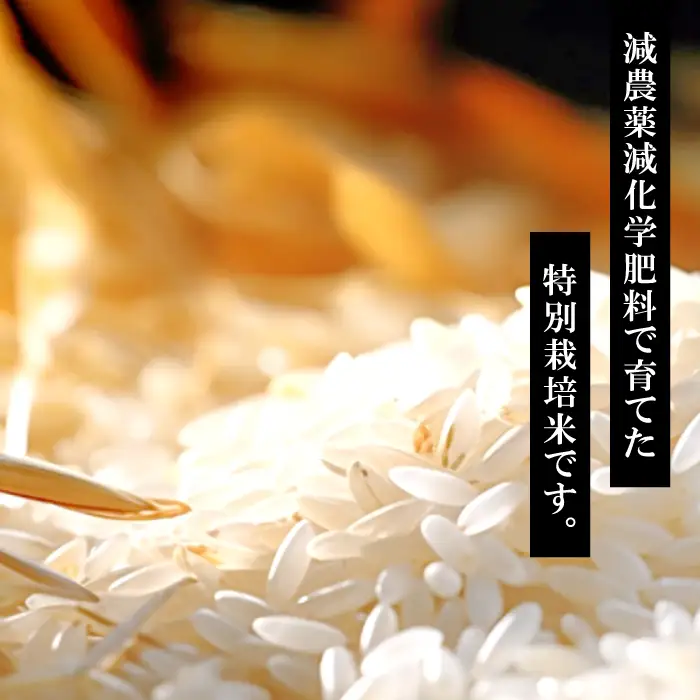 さんべ浮布米（無洗米）5kg【令和7年産 お米 コシヒカリ 5kg こしひかり 無洗米 2025年産 特別栽培米 米 おこめ こめ うるち米 浮布米 減農薬 減化学肥料 美味しまねゴールド認証 島根県産 大田市産】