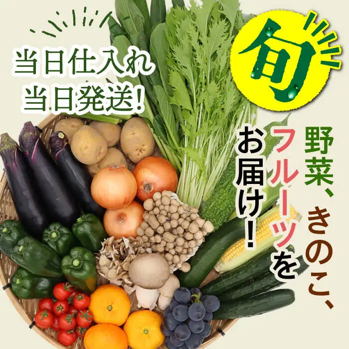 野菜 フルーツ キノコ 詰め合わせ 15品目以上 [SCZ001] ｜野菜セット