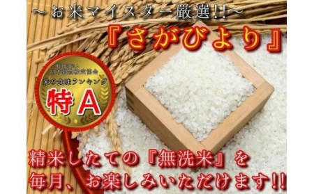 令和7年産 【定期便】無洗米 さがびより ２kg×３袋×１０回 999-B1053