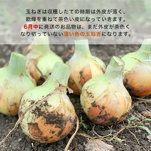 【あさひサンファーム】【混合10kg】兵庫県認証食品★特別栽培★淡路島たまねぎ
