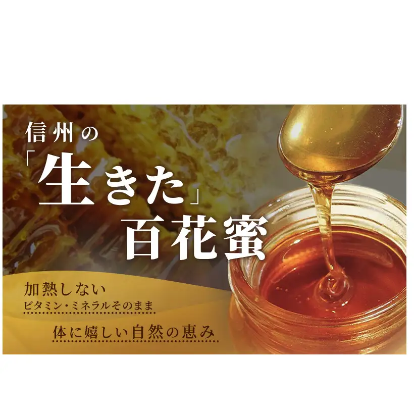 はちみつ日本みつばち 和蜂蜜（300g） はちみつ
